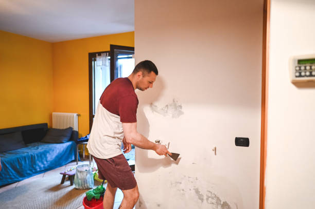 Best Mold Remediation for Specific Building Types in Hollis, OK